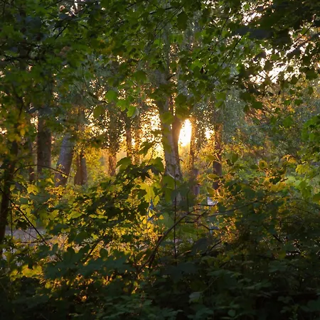 Wohnen Am Südstrand - 2 3 Apartment