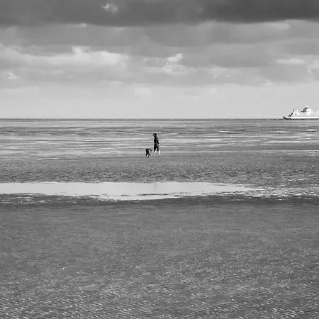 Apartment Wohnen Am Südstrand - 2 3 *