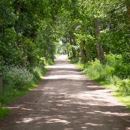 Wohnen Am Südstrand - 2 3 Apartment